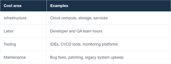 Common Blind Spots in Software Costs