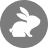 CodeRabbit